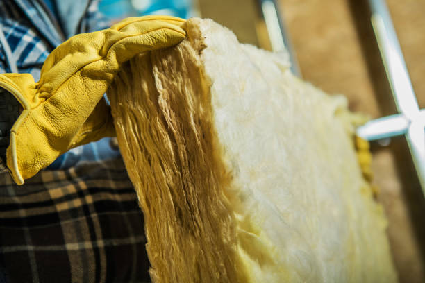 Best Geographic-Specific Insulation Services in Pickerington, OH