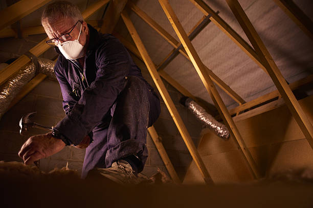 Best Cellulose Insulation in Pickerington, OH